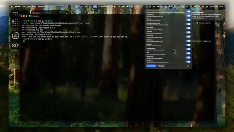 LoginToggle screenshot 2