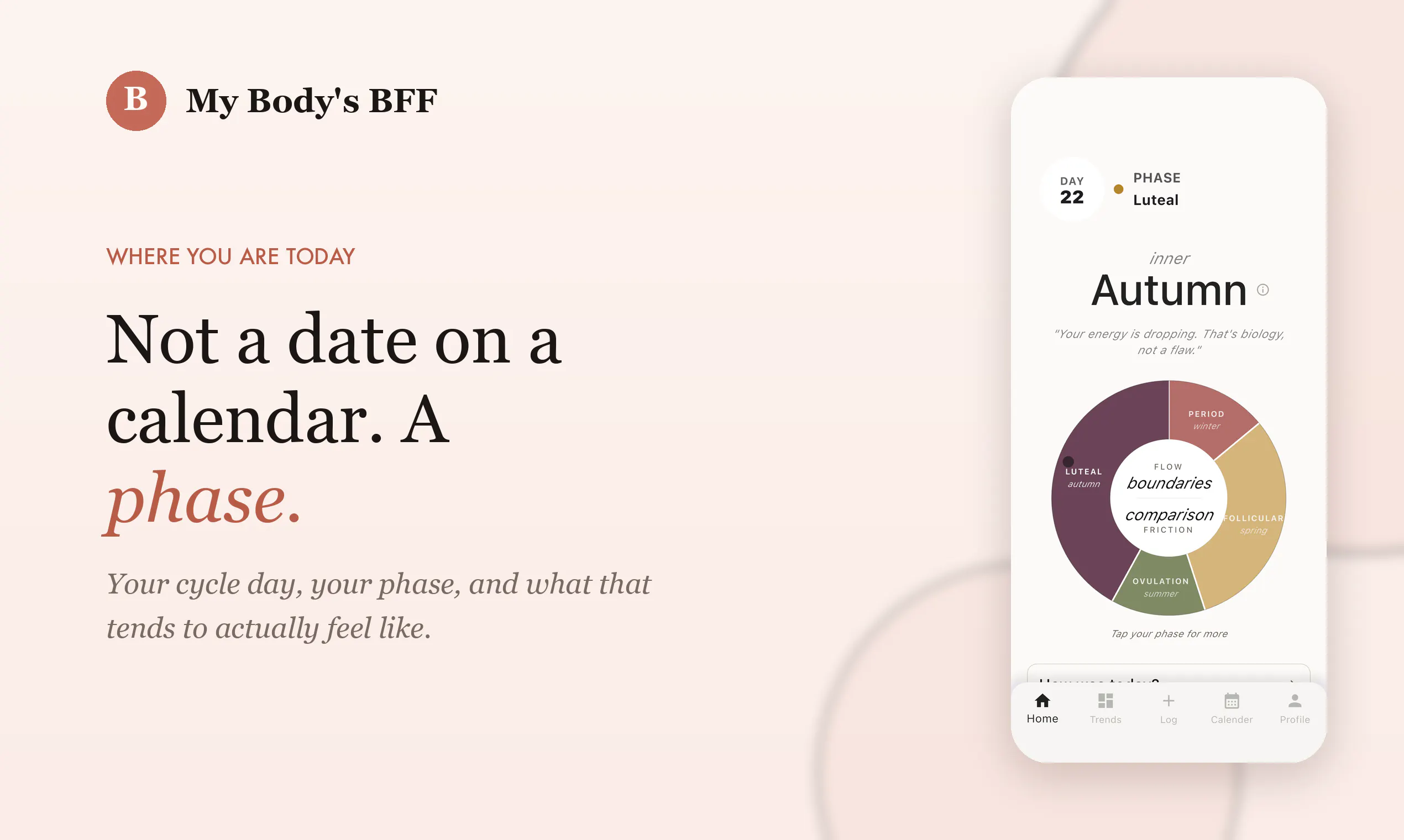 My Body's BFF:  Cycle Patterns  gallery image