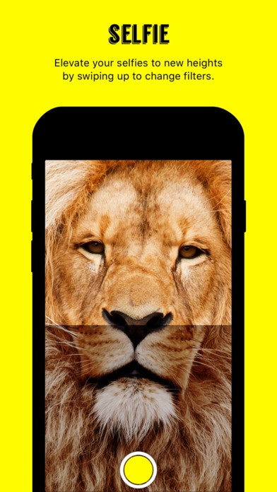 GoosCam gallery image