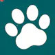 Vet Record