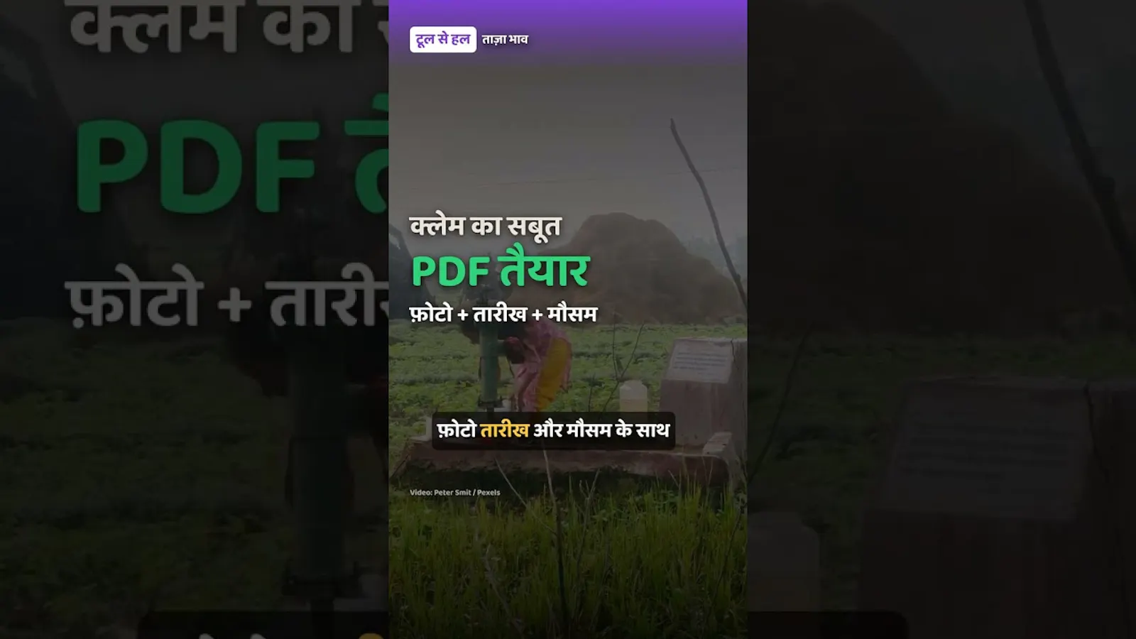 TaazaBhav screenshot 1 (video preview)