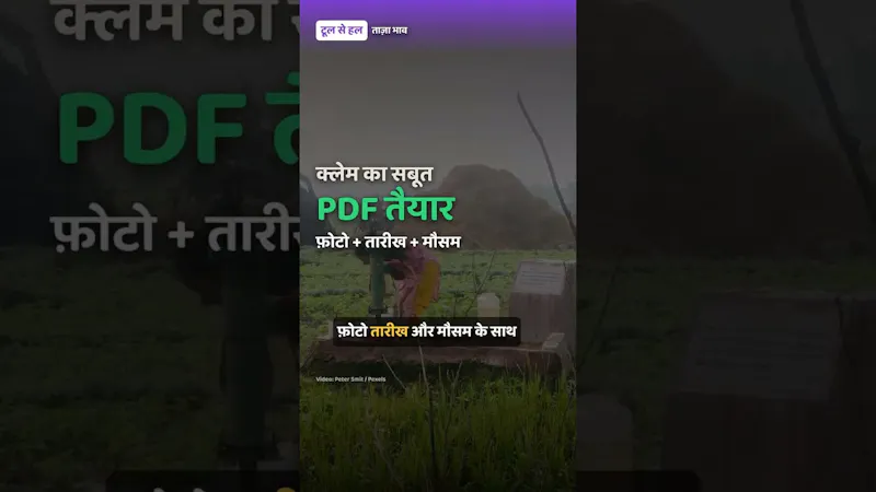 TaazaBhav screenshot 1 (video preview)
