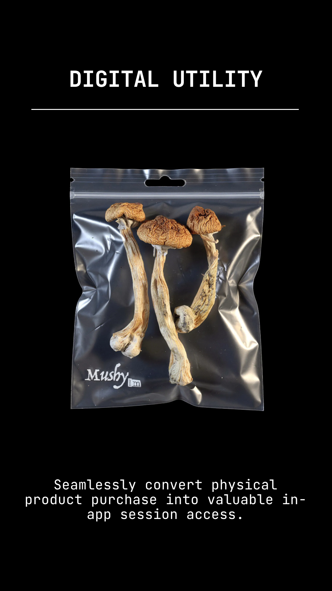 MushyLM gallery image