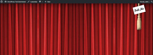 WP Curtain Raiser gallery image