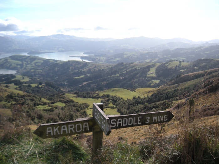 Must-go places in New Zealand gallery image