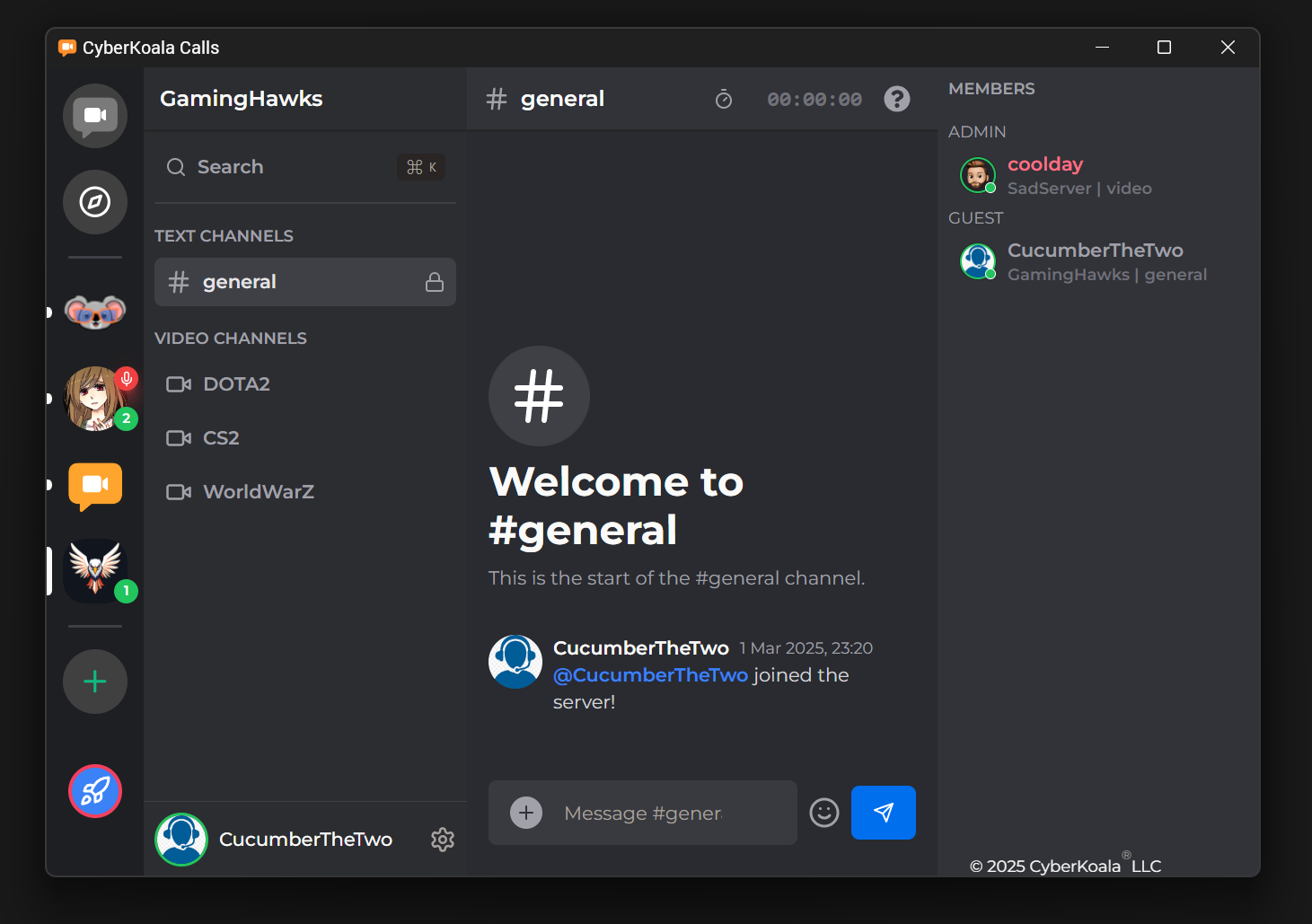 CyberKoala Calls gallery image
