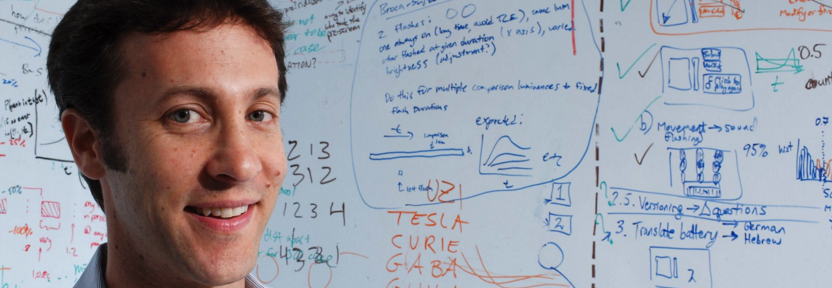 The Brain: The Story of You  gallery image