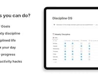 Notion Discipline OS media 2