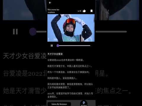 Chinese AI gallery image