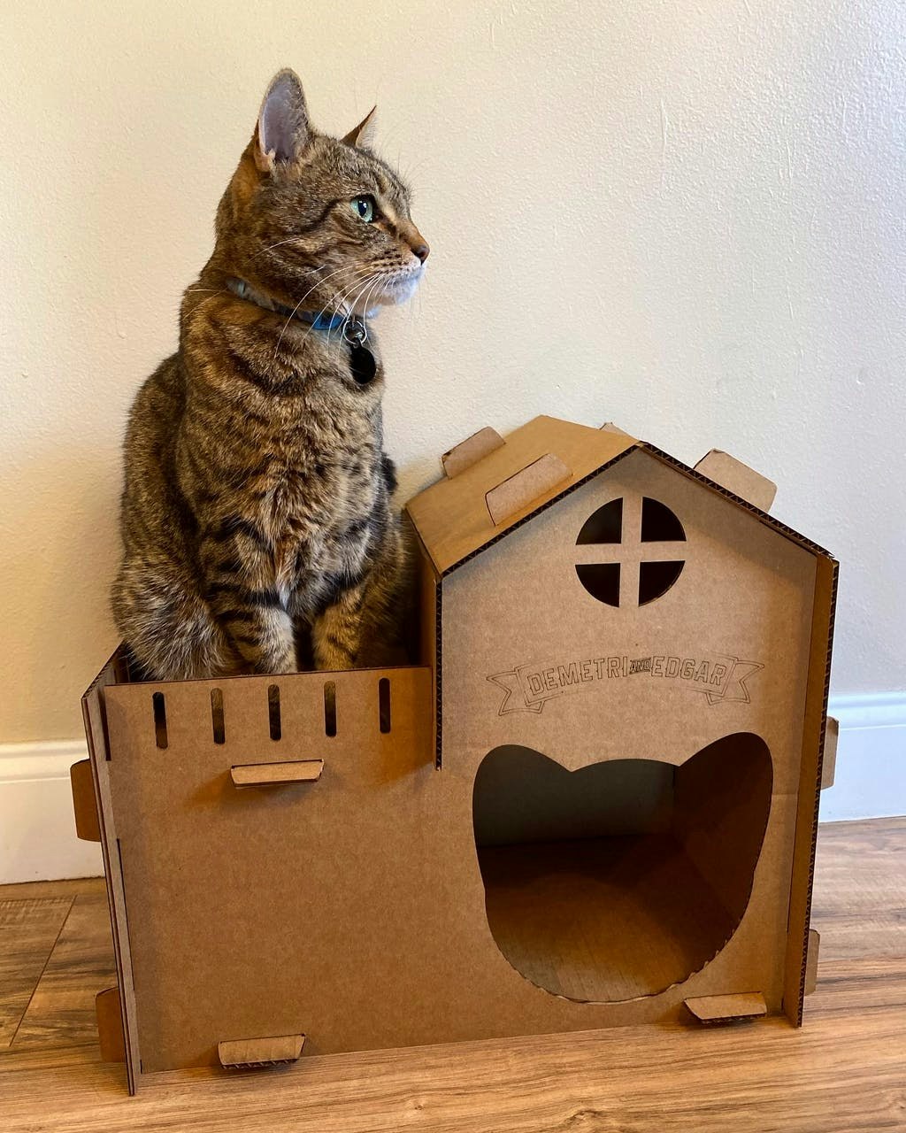 Cardboard Cat Homes gallery image