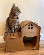 Cardboard Cat Homes gallery image