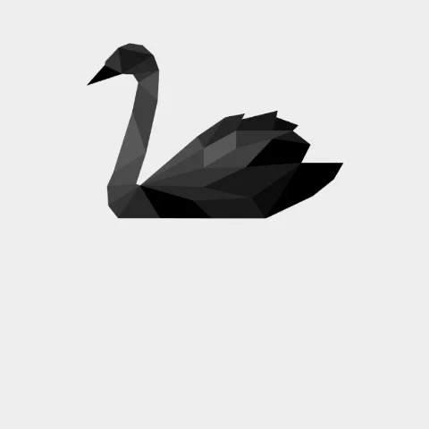Black Swans Community