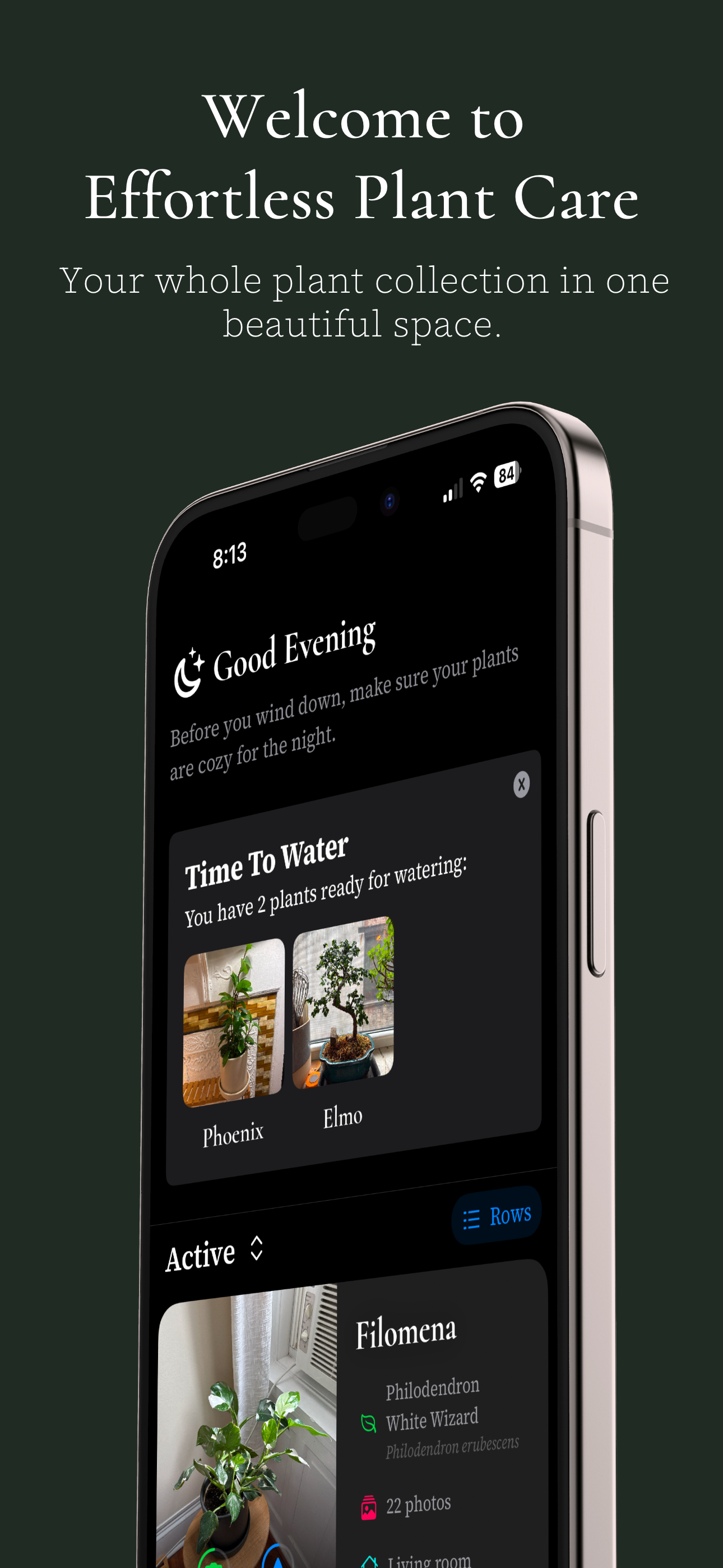 Ginkgo media 1
