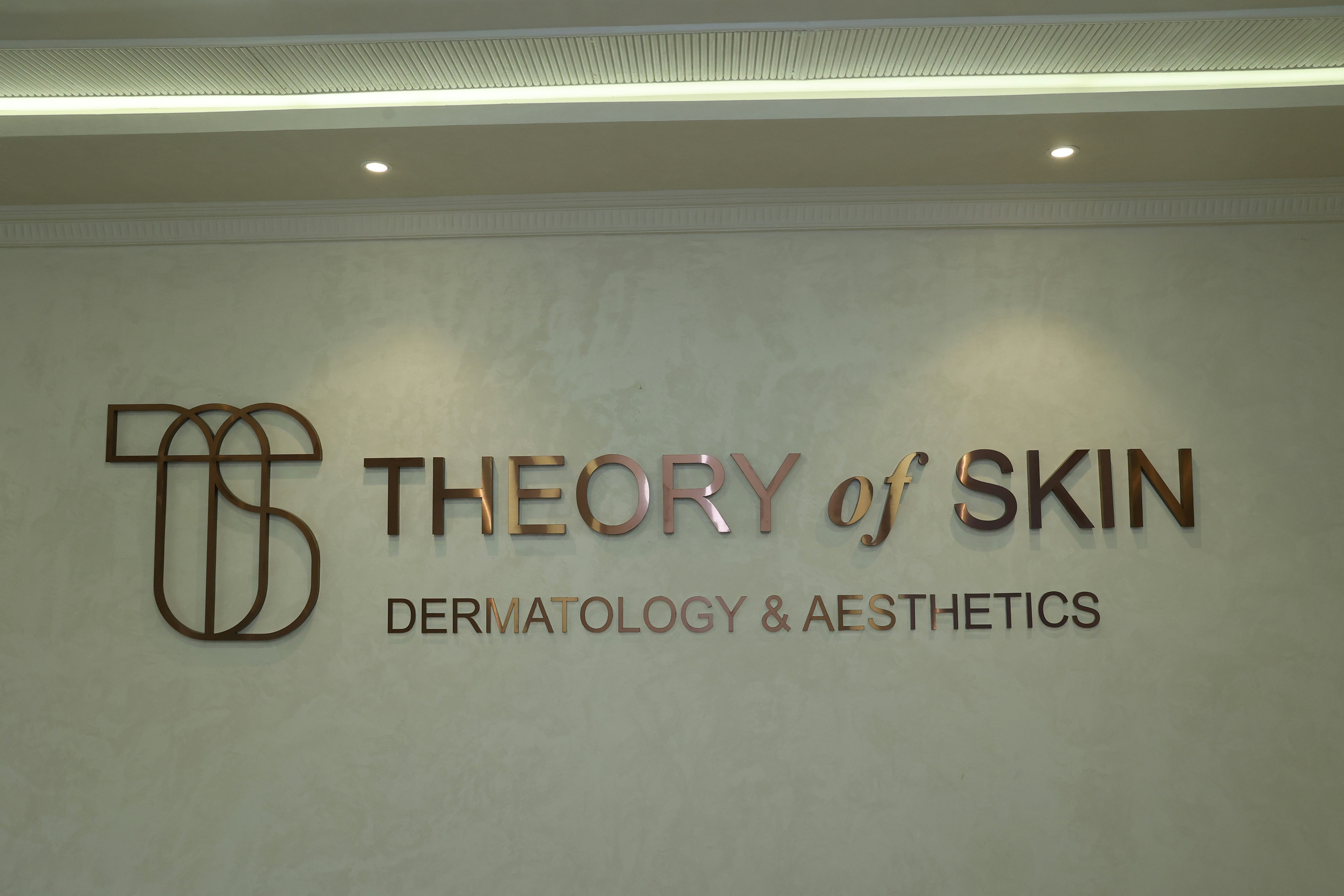 Theory of Skin  gallery image