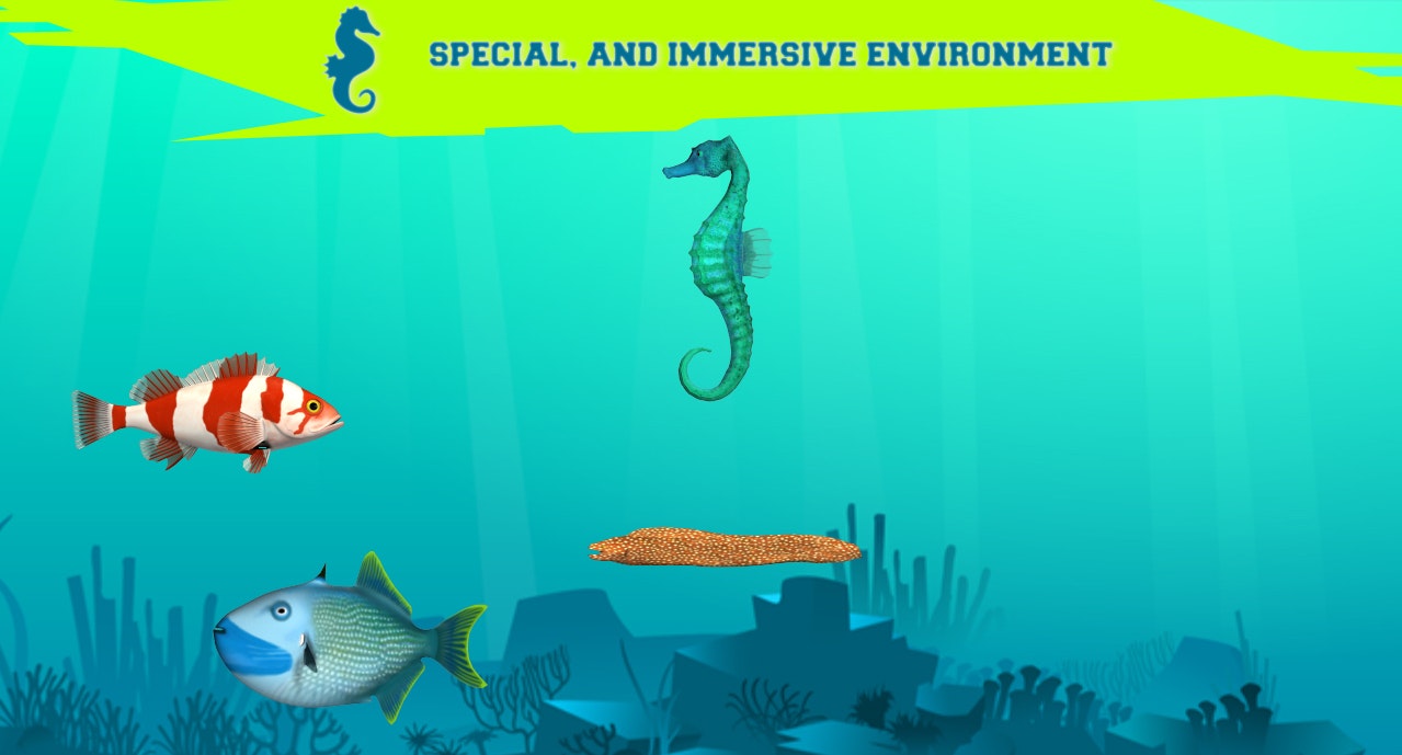 Life of a Fish gallery image