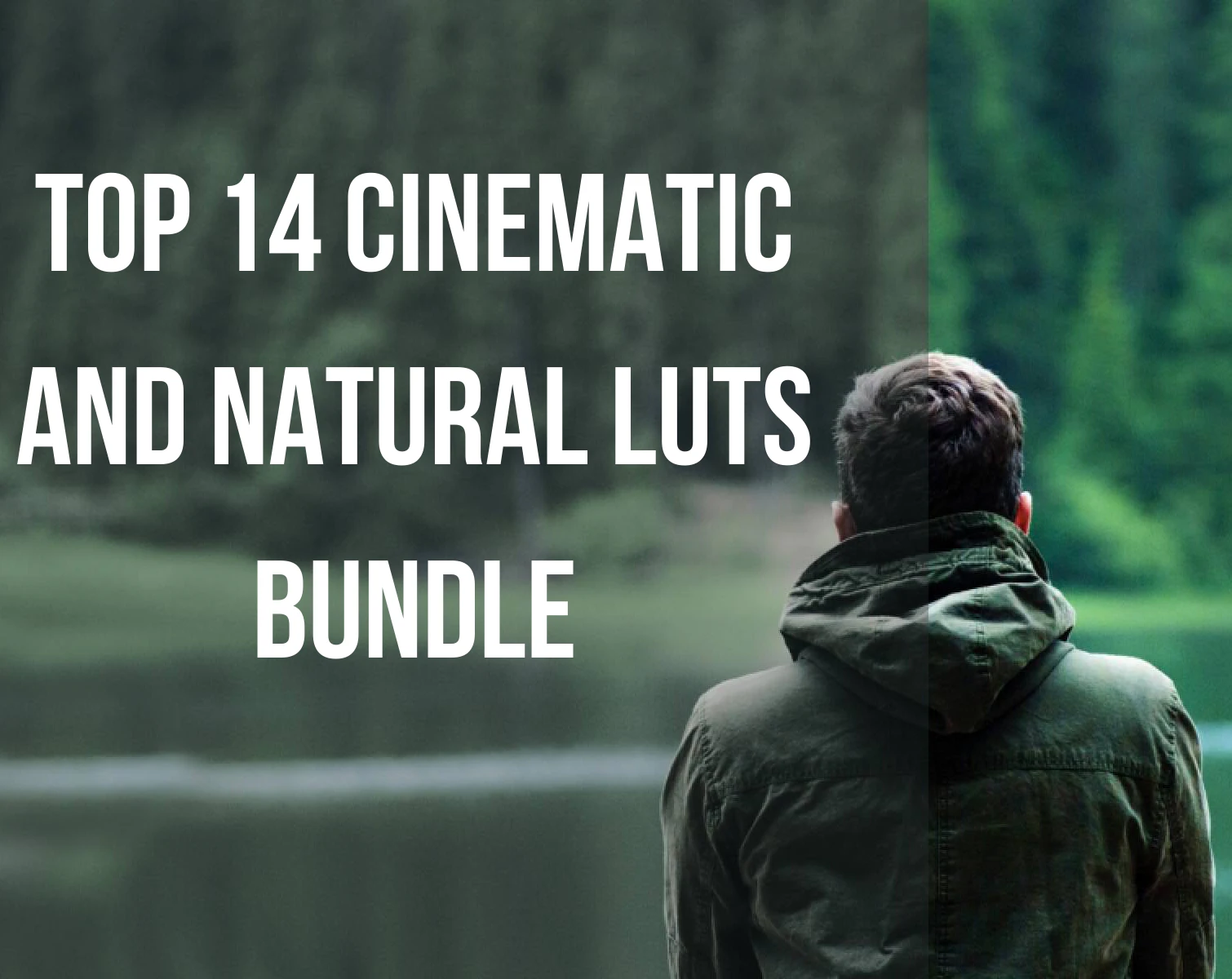 Cinematic and Natural LUTs Bundle