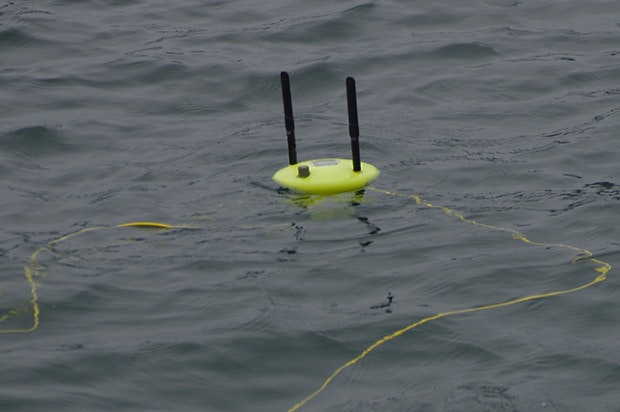 Gladius gallery image