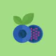 The Bleuberry Project