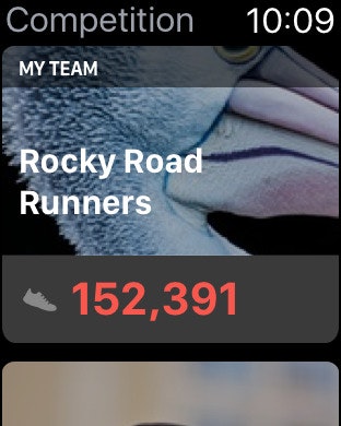 Spire FIT gallery image