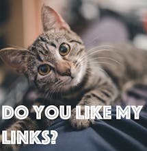 Culinary gallery image