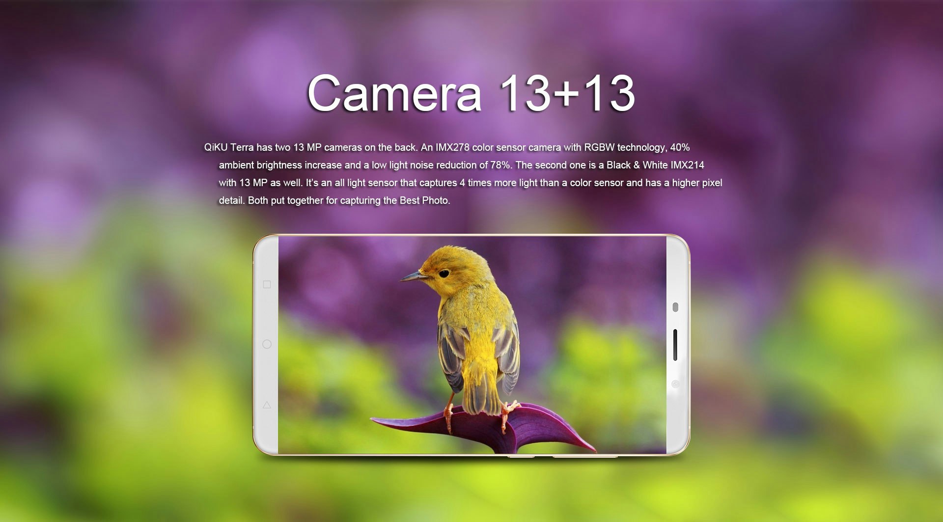 QiKU Terra gallery image