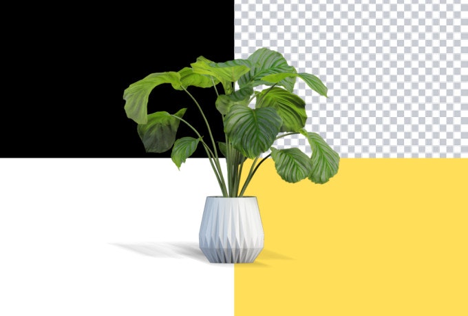 RMBG.PRO gallery image