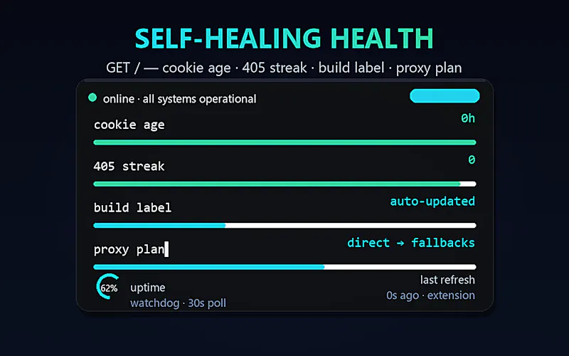 Gemini Web2API screenshot 5