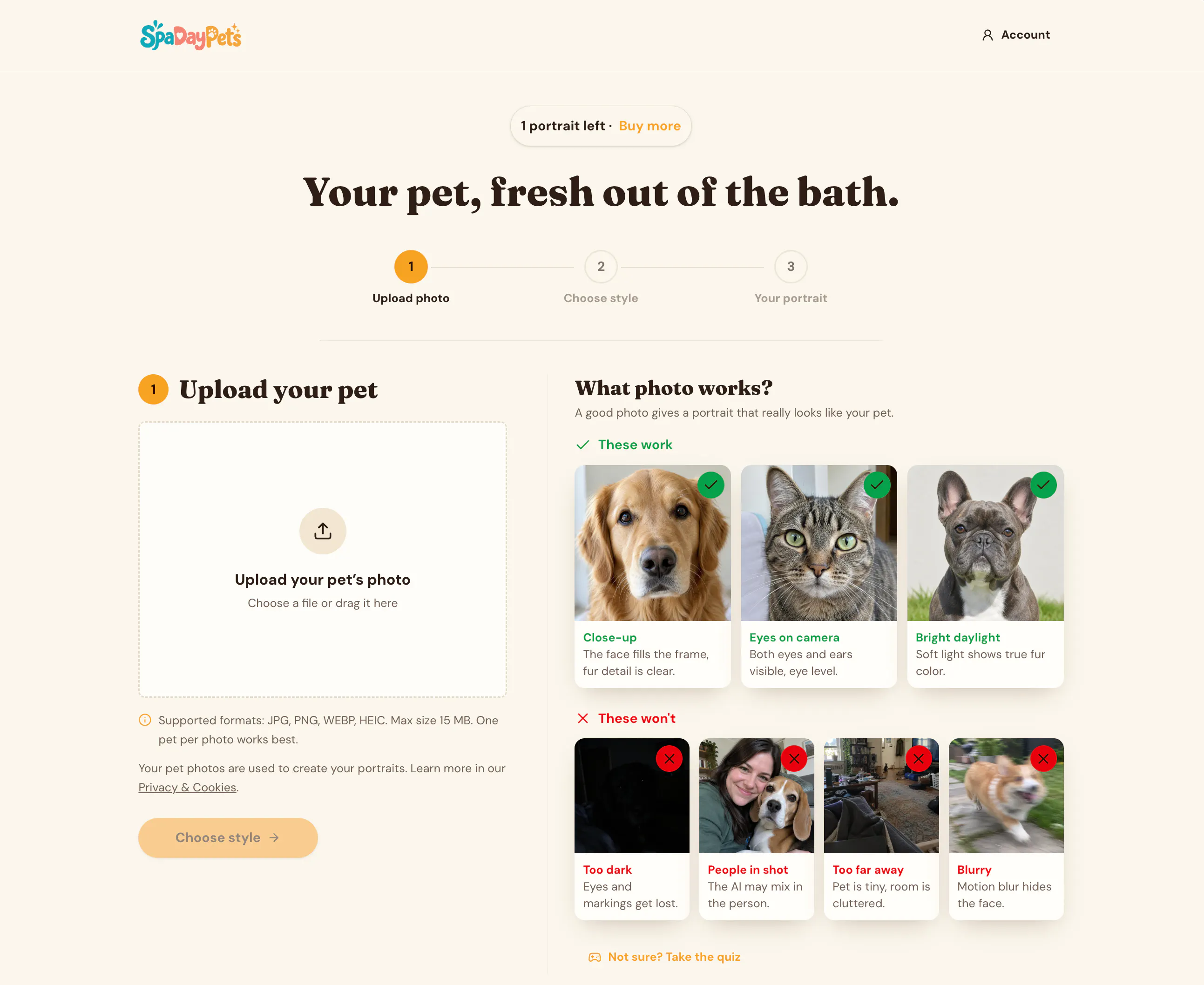 Spa Day Pets gallery image