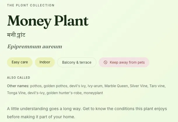 Plont gallery image