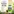 Pure Moringa Leaf Powder & Capsules
