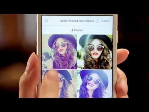 Taggle gallery image