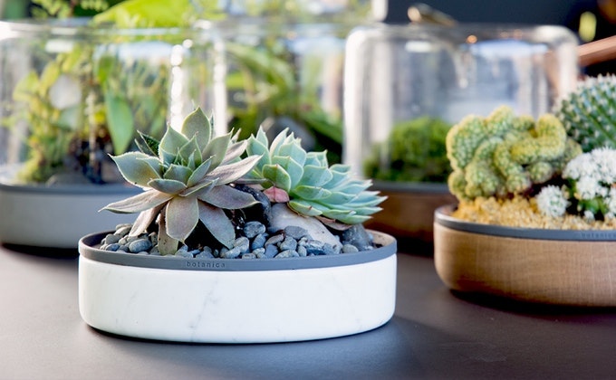 Sanctuary M gallery image