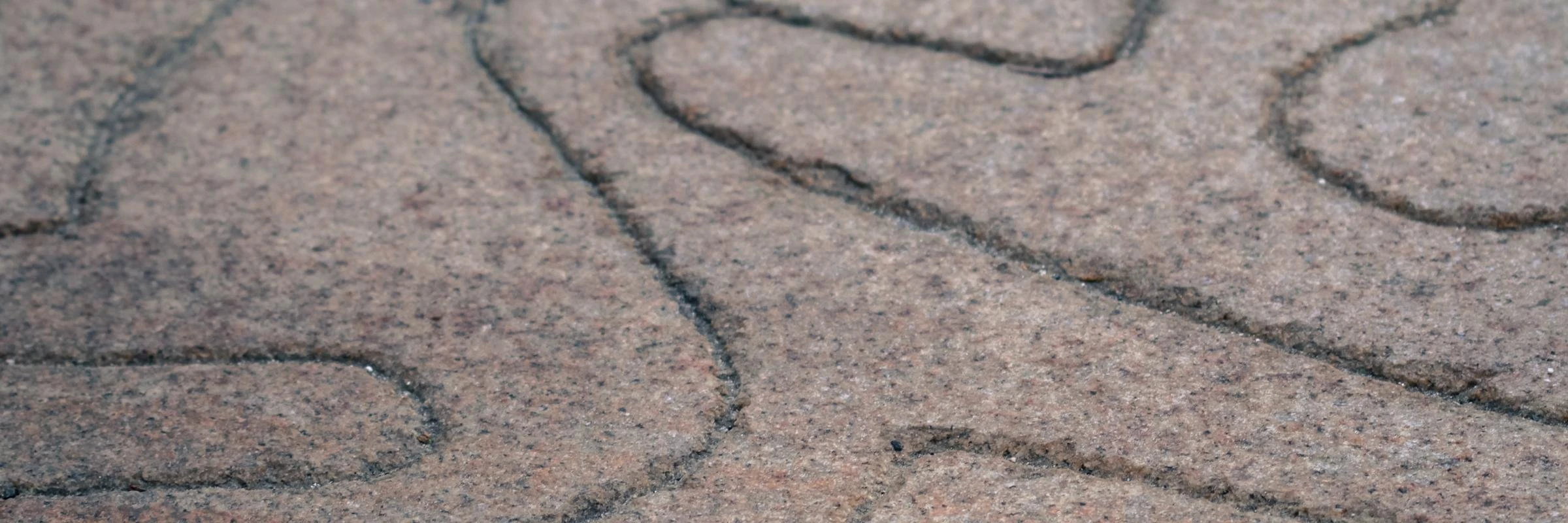 Sascha Mombartz cover