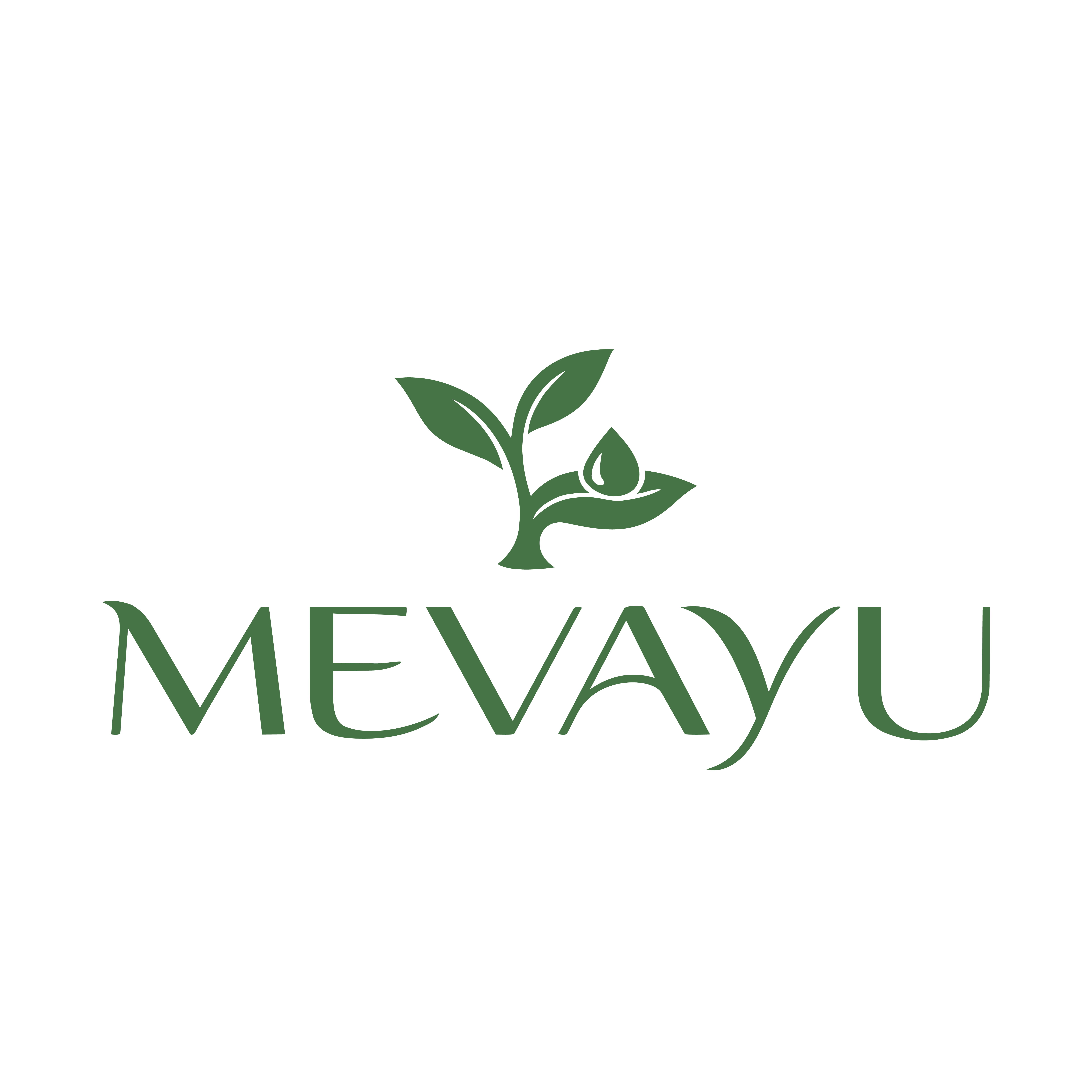 Mevayu - Product Hunt launch logo and brand identity