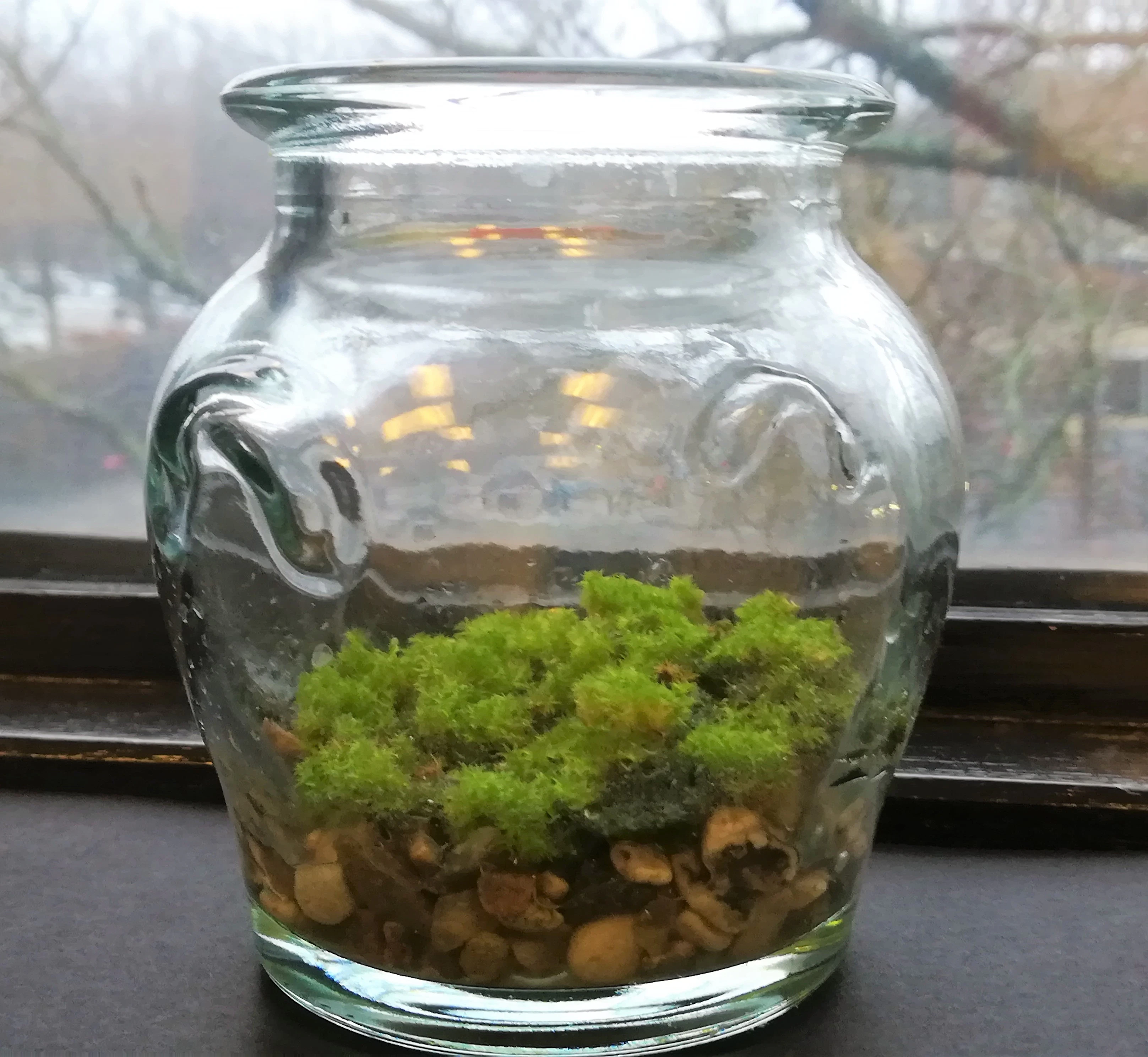 Fragrant moss in bowl