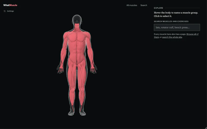 WhatMuscle screenshot 2