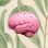Learn Psychology Co