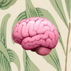 Learn Psychology Co
