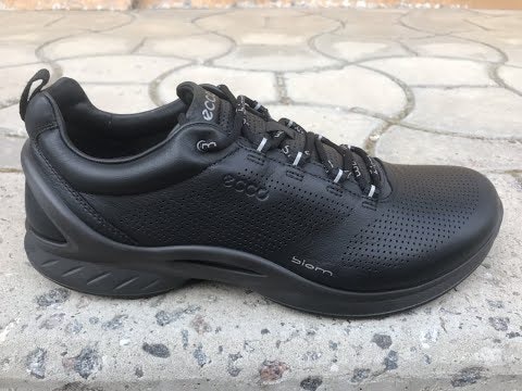 Frankie4 - Nat gallery image