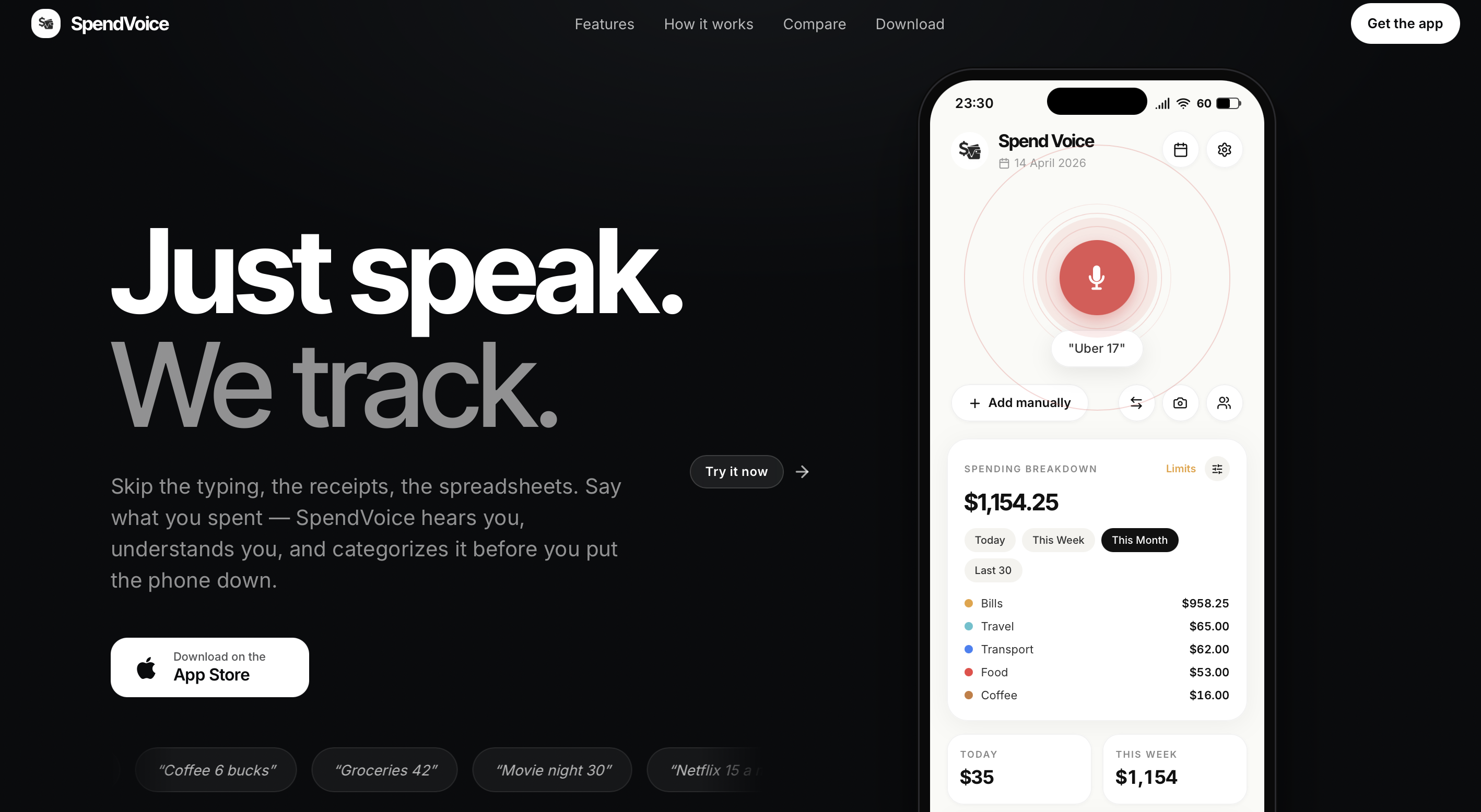 SpendVoice  gallery image