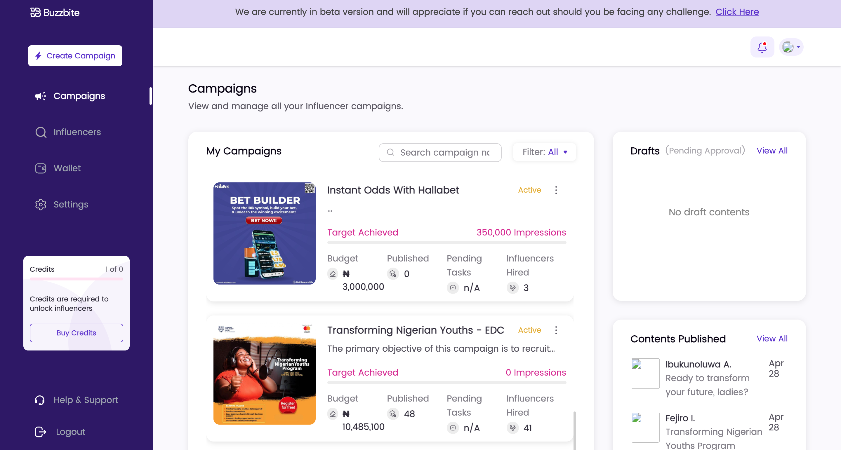 Buzzbite gallery image