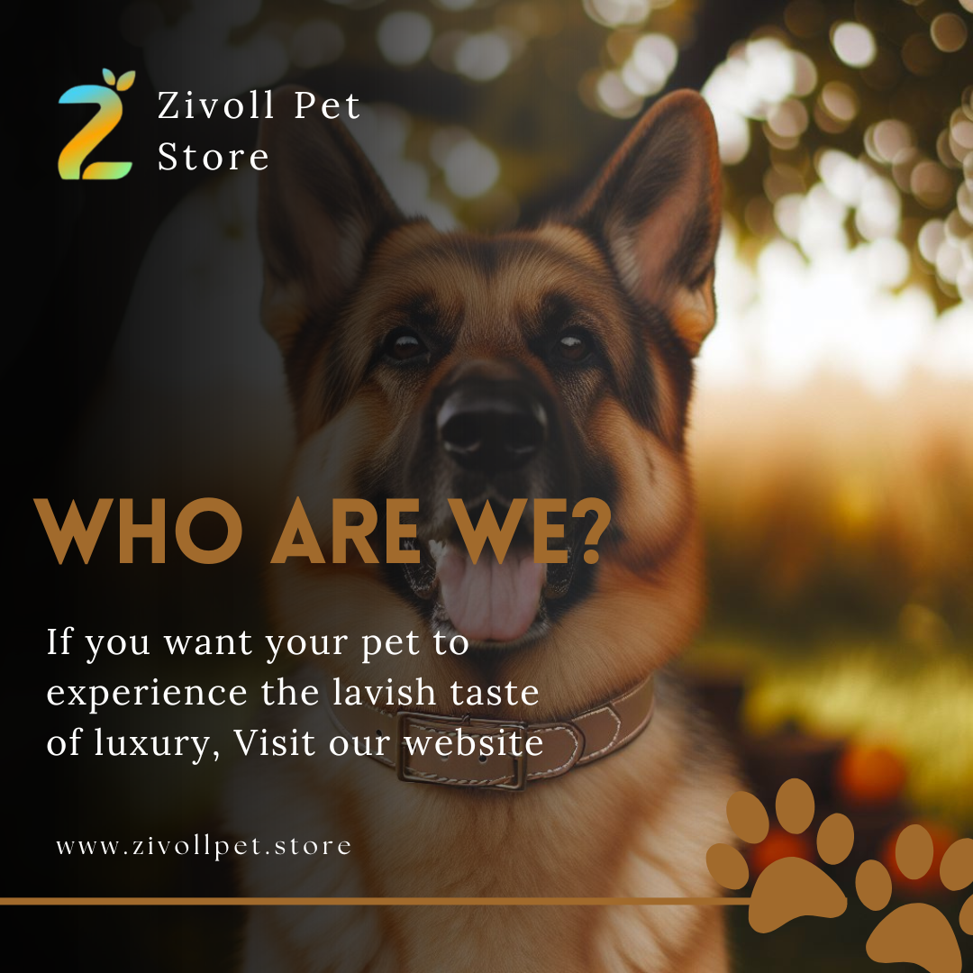 Zivoll Pet Store gallery image