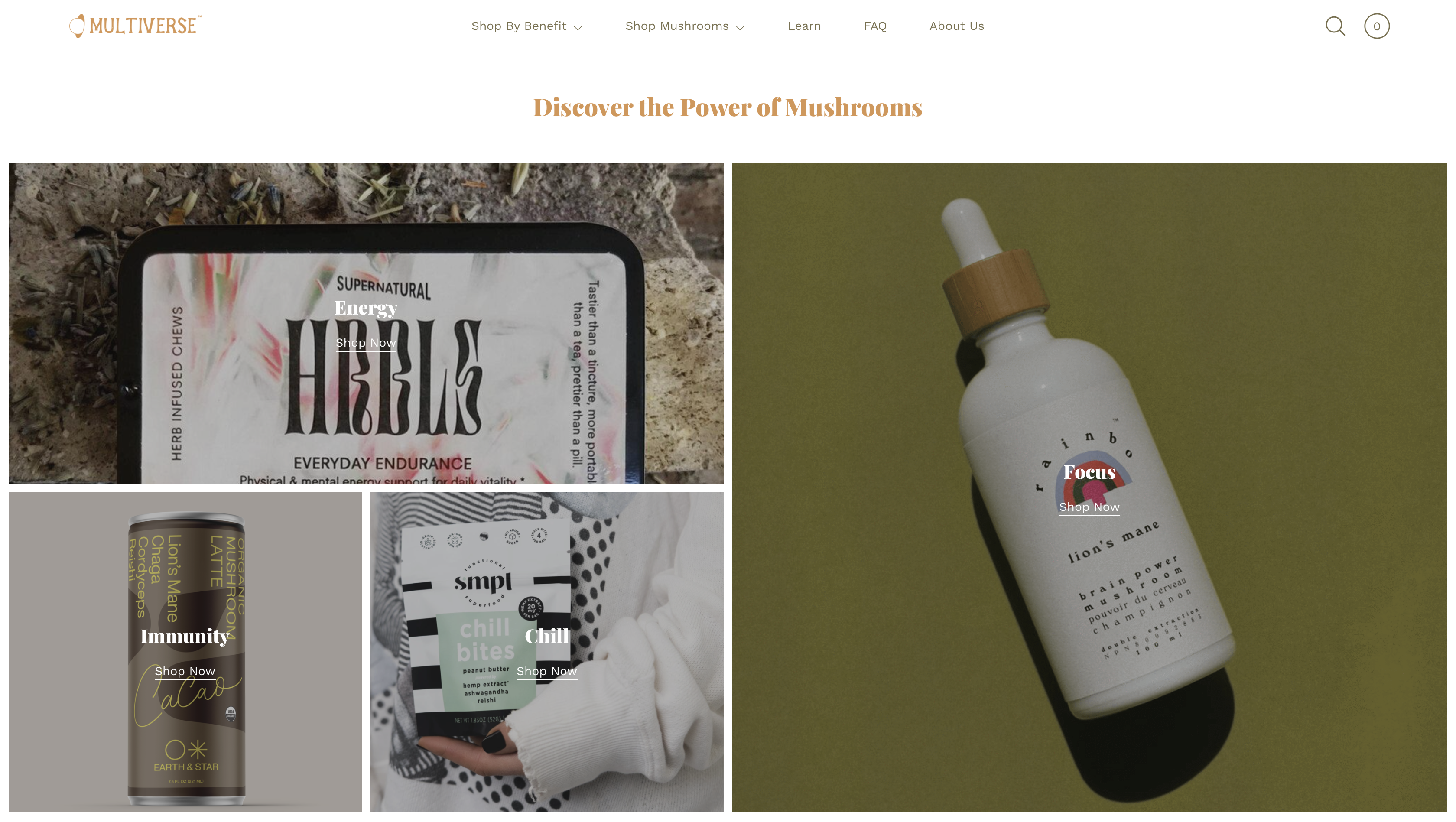 The Multiverse gallery image