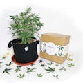 aPotforPot