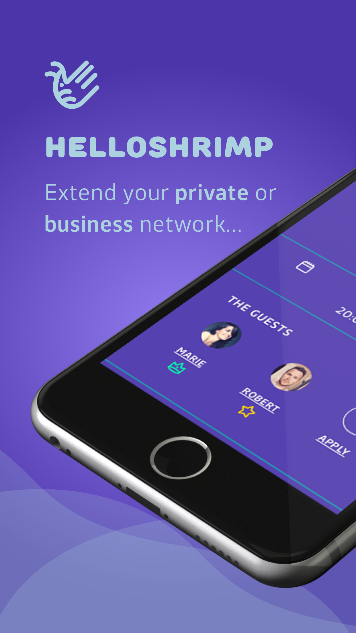 HelloShrimp gallery image