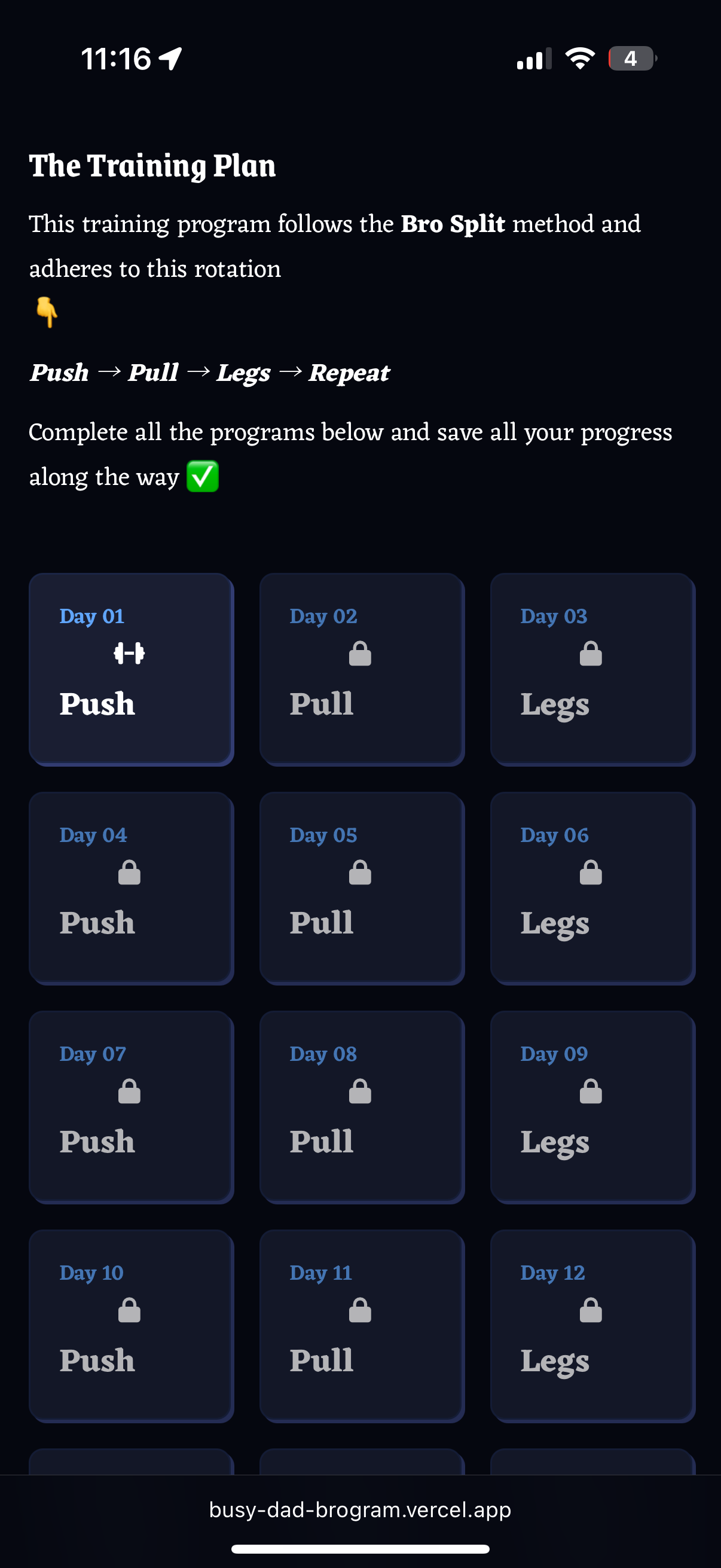 Busy Dad Brogram gallery image