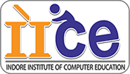iice training institute