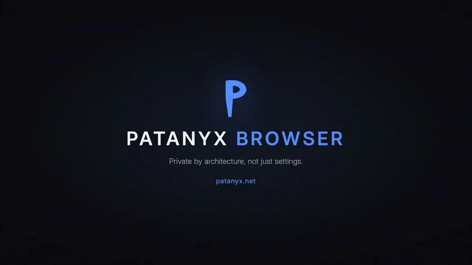 PATANYX Browser screenshot 1 (video preview)