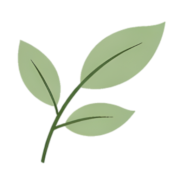 greeneryinside.com