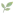 greeneryinside.com